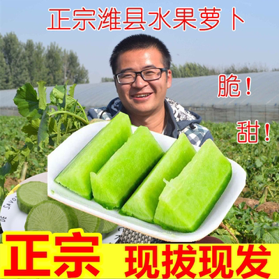 山东水果萝卜潍坊水果萝卜