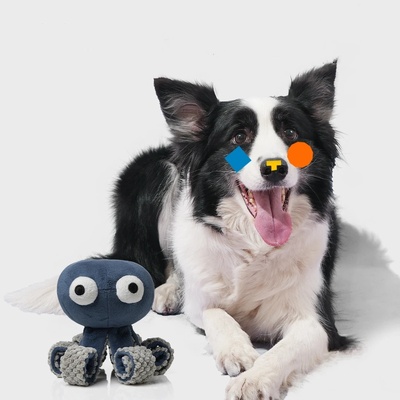 章鱼毛绒发声漏食玩具