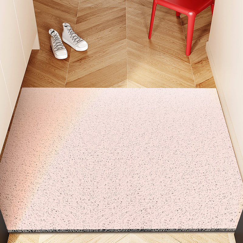 莫兰迪色系入户丝圈地垫防滑门垫