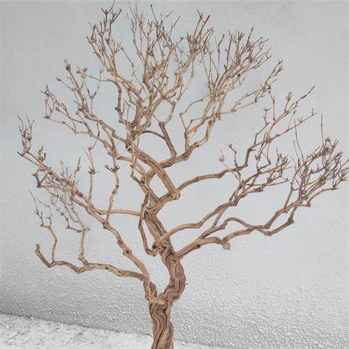 仿真枯树枝许愿树树杆造型室内外装饰影视假枯树树杆造景装饰树
