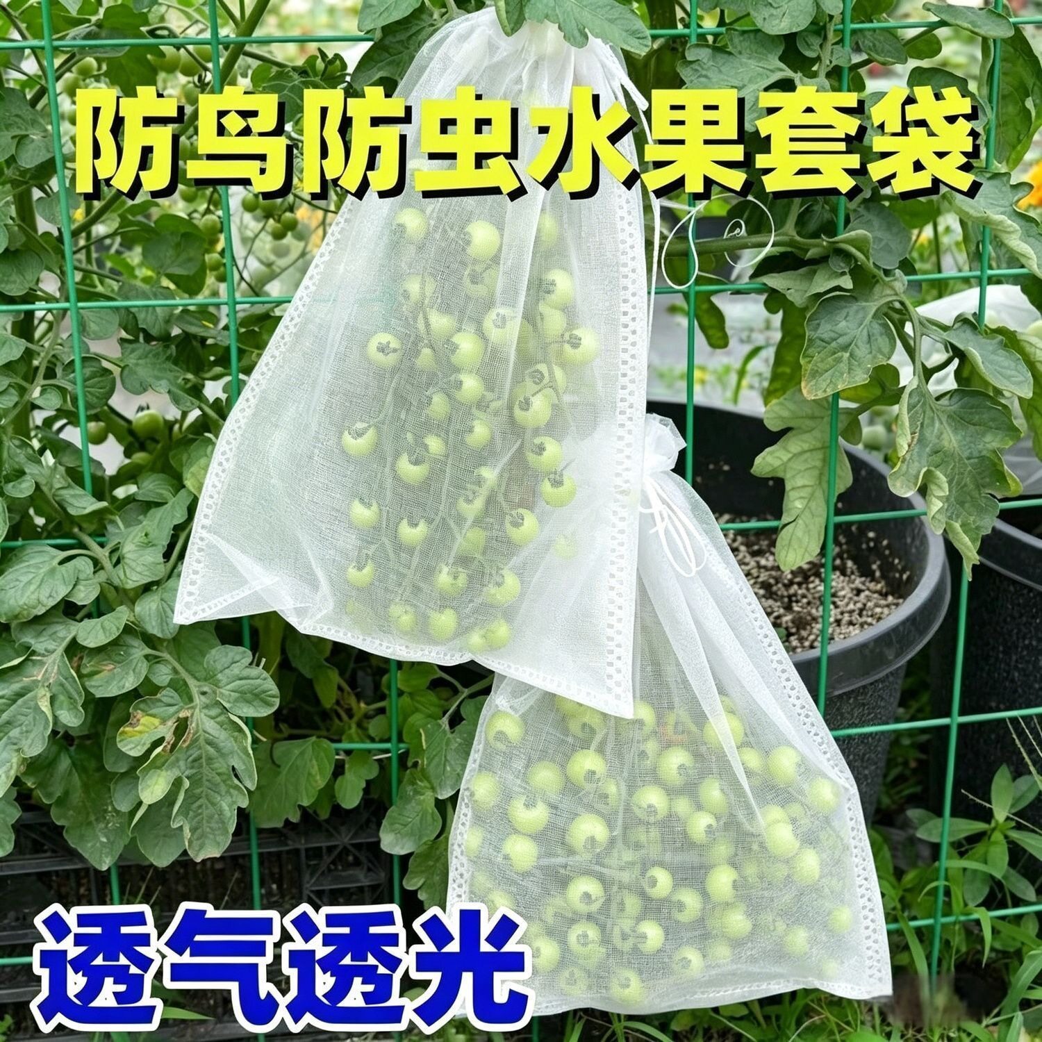 防鸟袋防虫网袋草莓葡萄无花果防