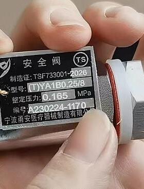 (T)YA1B0.25/8安全阀整压力0.165甬安TSF733001-2026手提锅放气阀