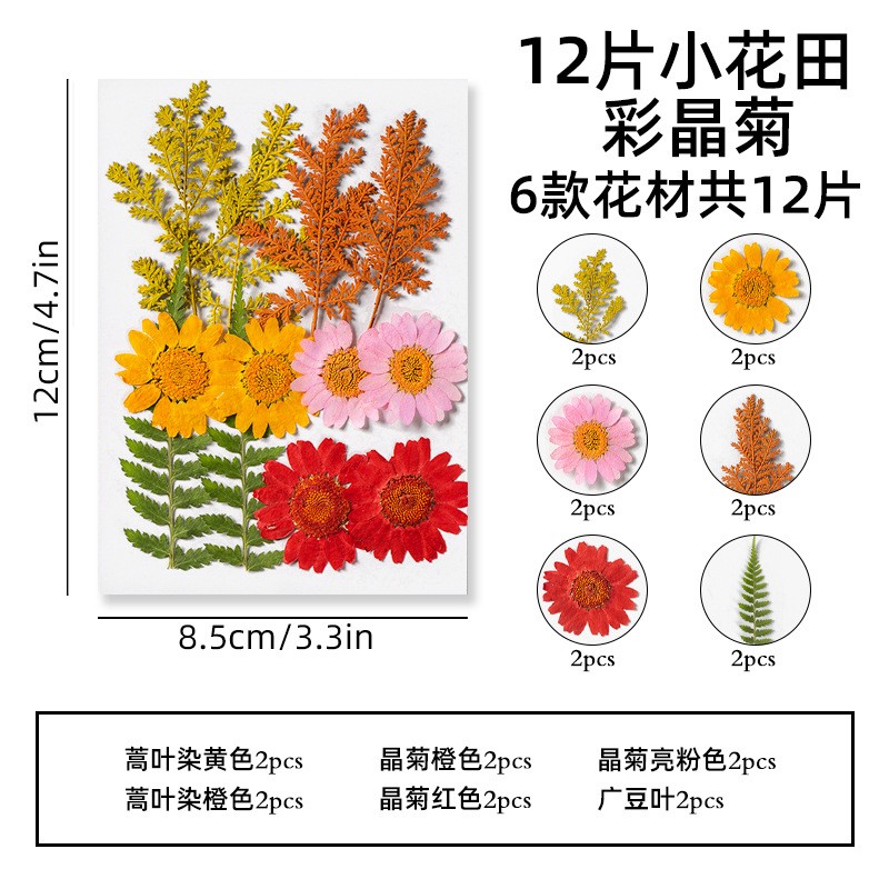 明信片复古ins风景治愈梦幻文艺干花贺卡插画中秋节礼物留言ax60