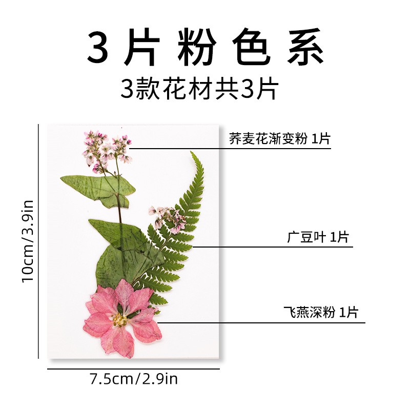 干花diy材料压花书签滴胶相框手工押花贴画花瓣妆真花植物标ax92