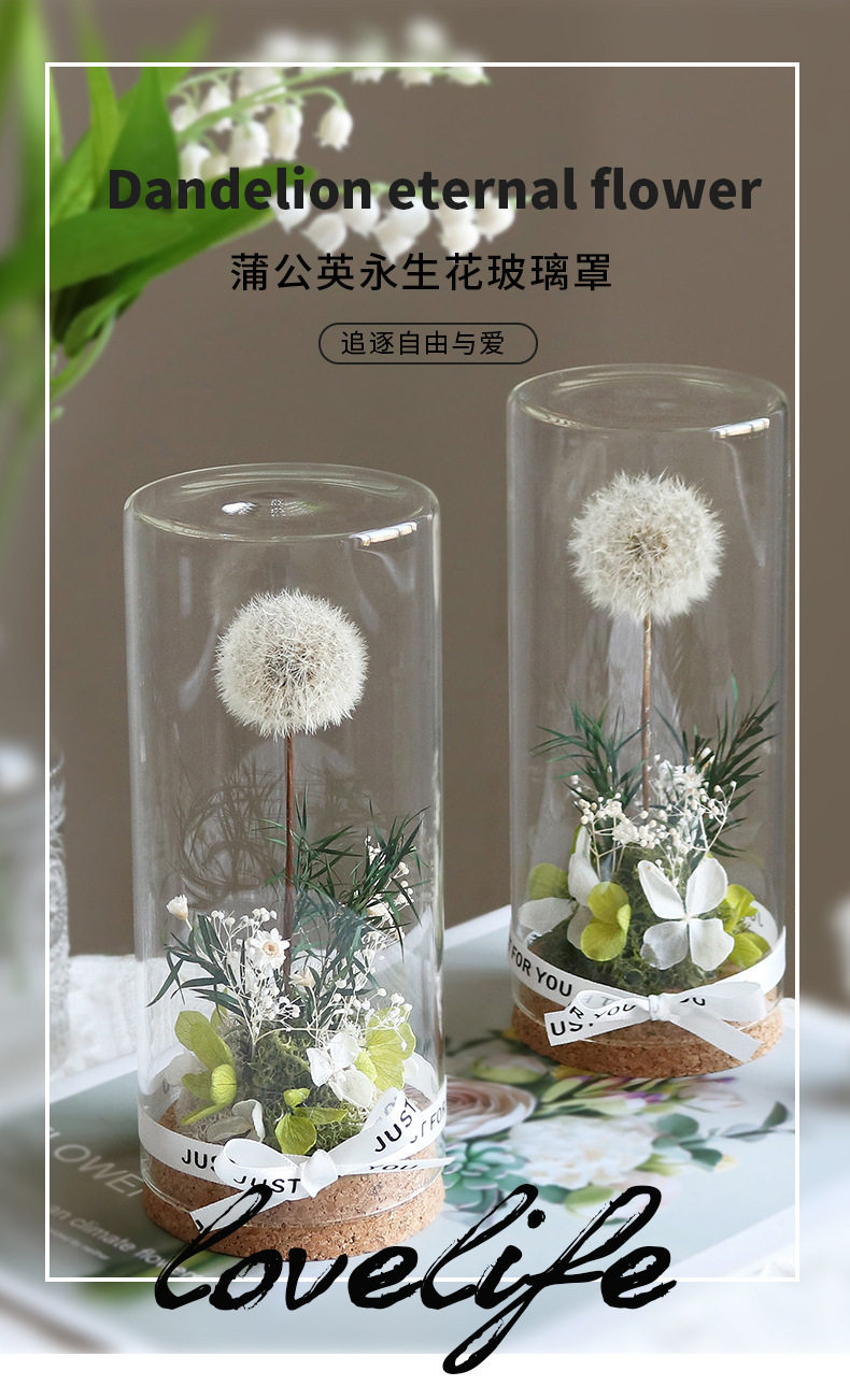 剧本杀既往云笙萧然伴手礼永生花蒲公英漂流瓶摆件干花真花生日
