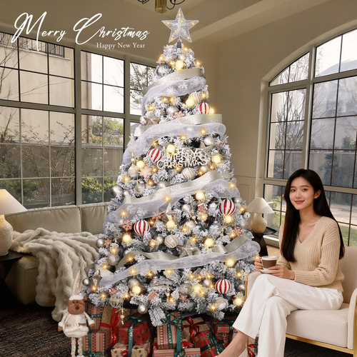 弘信落雪圣诞树白色ins风