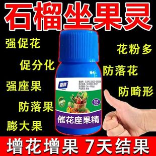 金弹子授粉座果精坐果灵授粉保花保果药防落果防裂果树挂果授粉剂