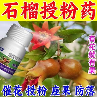 全能型瓜果保花坐果肥催花保果防落膨大增产营养液