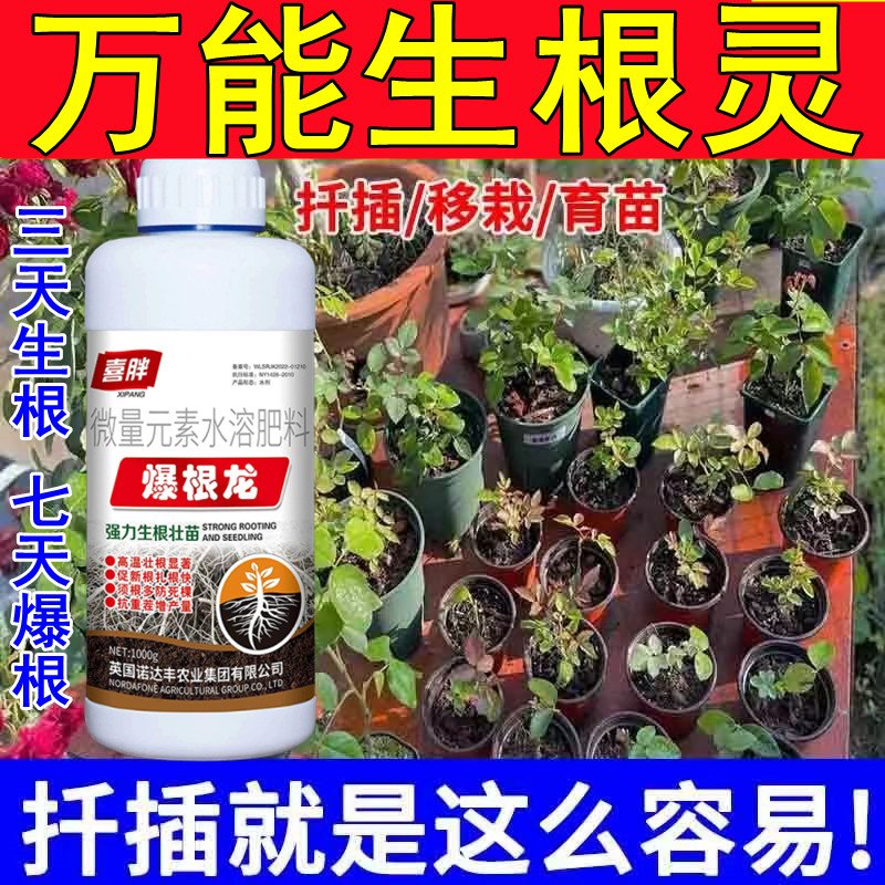 进口生根粉生根壮苗剂速效生根液大树移植苗木扦插月季果树生根