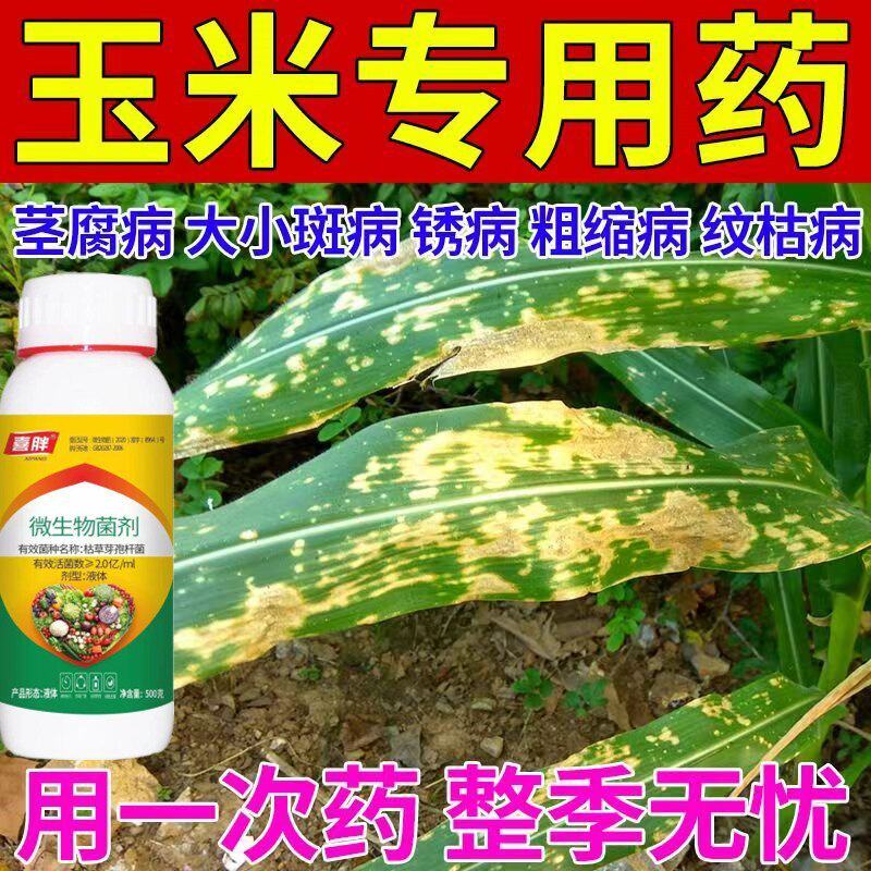 玉米专用药玉米病药玉米全治叶斑病锈病纹枯病玉米杀菌剂通用
