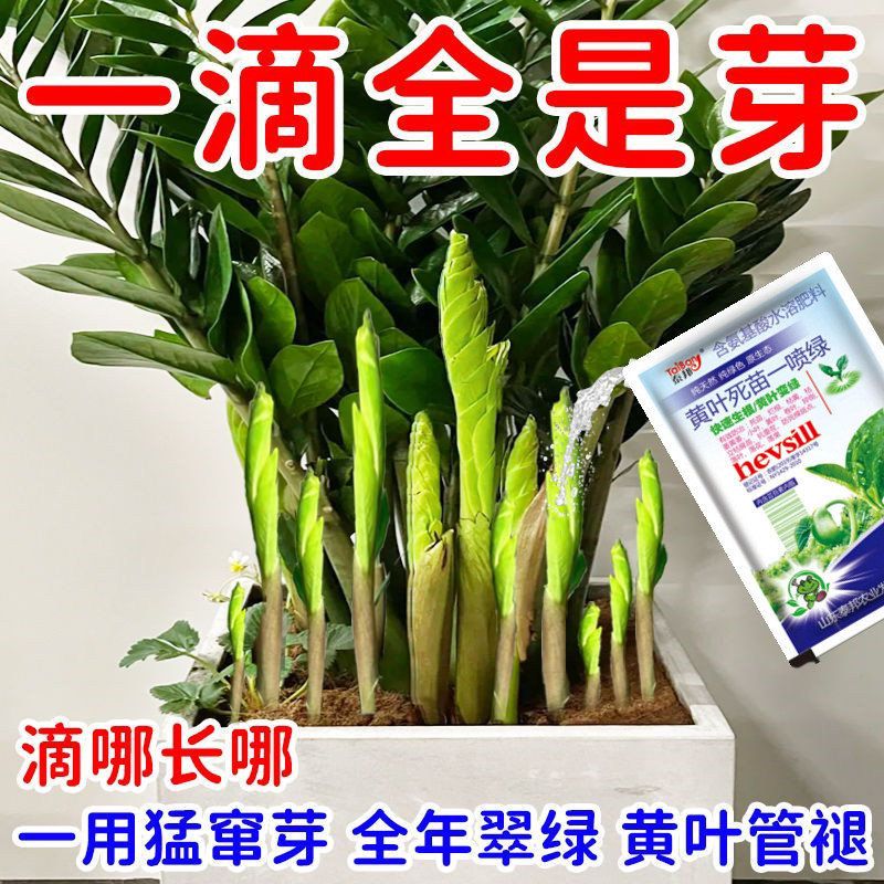 水稻黄叶干尖专用肥水稻黄叶一喷绿枯焦斑点烂根死苗水稻水溶肥