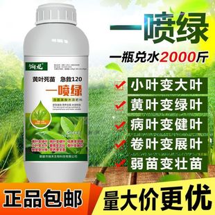 黄叶一喷绿死苗烂根大棚蔬菜果树绿植花卉绿叶壮叶面肥一喷绿