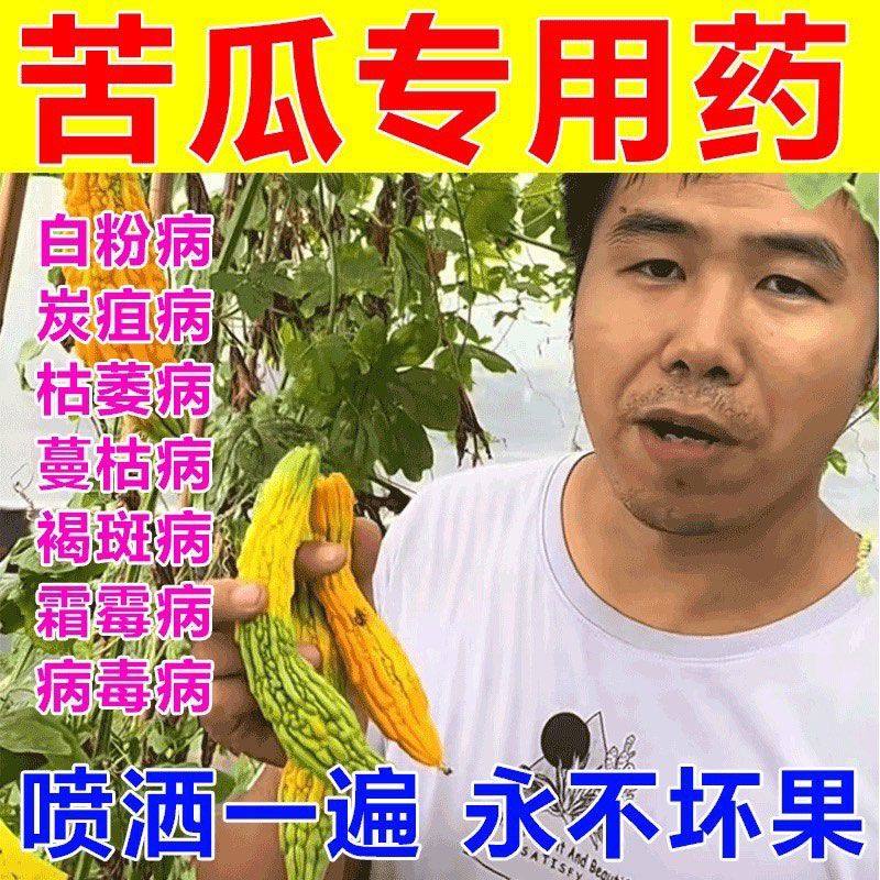 苦瓜病专用苦瓜蔓枯病黄叶落叶滕叶茎秆枯烂根腐枯黄农用微生菌剂