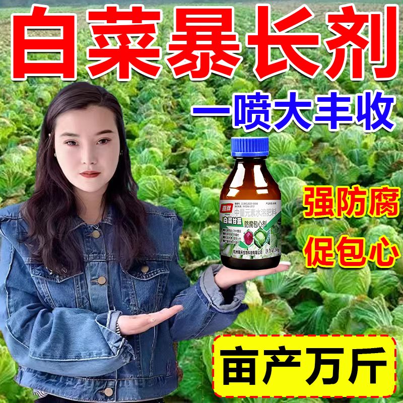 叶菜猛长白菜青菜香菜芹菜空心菜油麦菜催生促长专用肥叶菜病全治