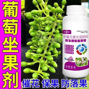 壮花保果液催花壮蕾保花保果防落果多挂果高产肥料