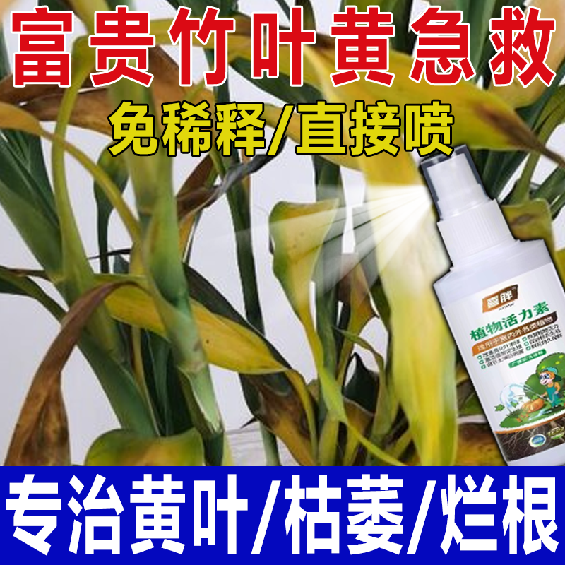 【嫁接必活】果树嫁接植物盆景花卉伤口阿维菌素防护愈合剂树木