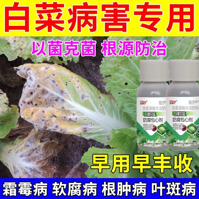 白菜包心剂生根叶面肥壮苗根茎粗壮抗软腐病