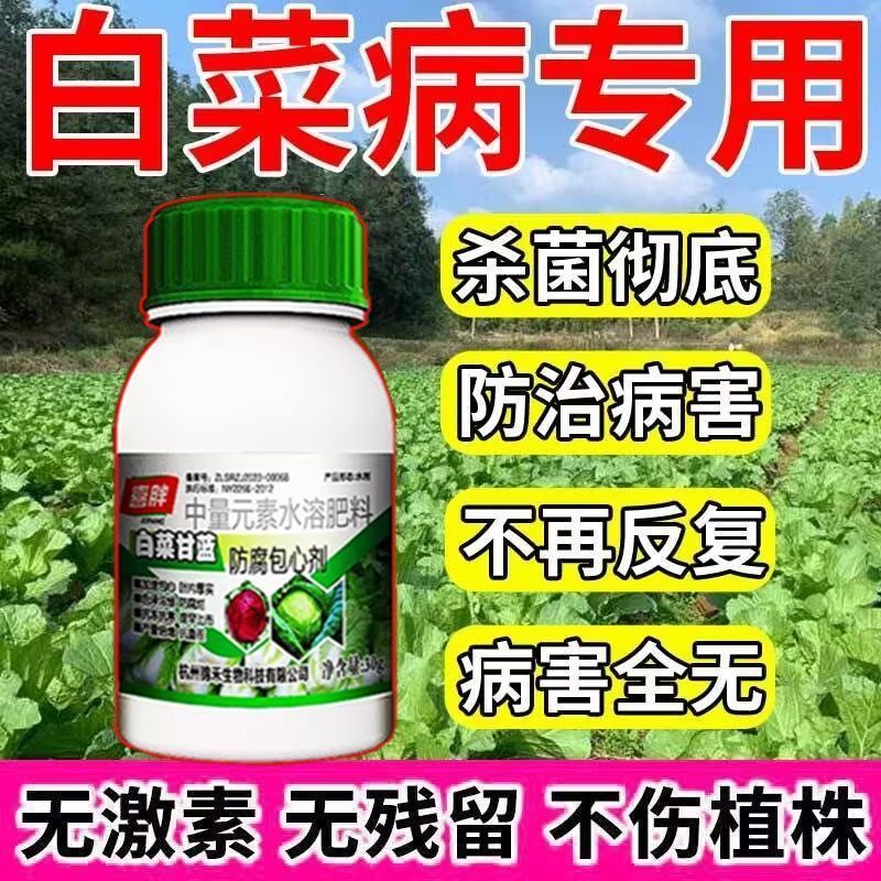 白菜专用菌病清白菜烂梆霜霉病根肿猝倒病软腐病干烧心叶面肥
