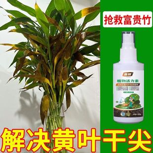 黄叶一喷绿死苗烂根阿维菌素大棚蔬菜果树绿植花卉绿叶壮叶面肥