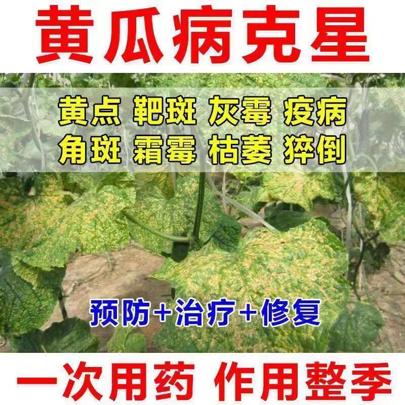 黄瓜专用黄瓜病全治靶斑病灰霉病角斑病斑点病霜霉病黄瓜杀菌剂