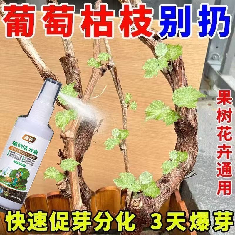 【一喷绿】富贵竹专用营养液阿维菌素转运观音竹子水培土培家用植