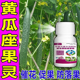 保花保果防冻抗寒膨大果实防畸防裂助力农户获得好收成