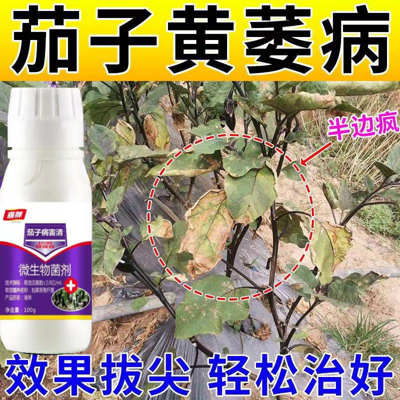 茄子药病全治茄子病毒清茄子黄萎枯萎病叶斑病炭疽病棉疫病杀菌剂