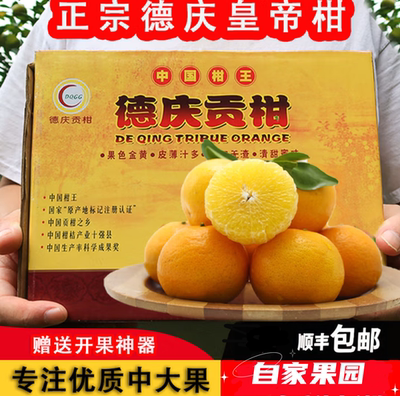 德庆皇帝柑贡柑桔子橘子9斤礼盒
