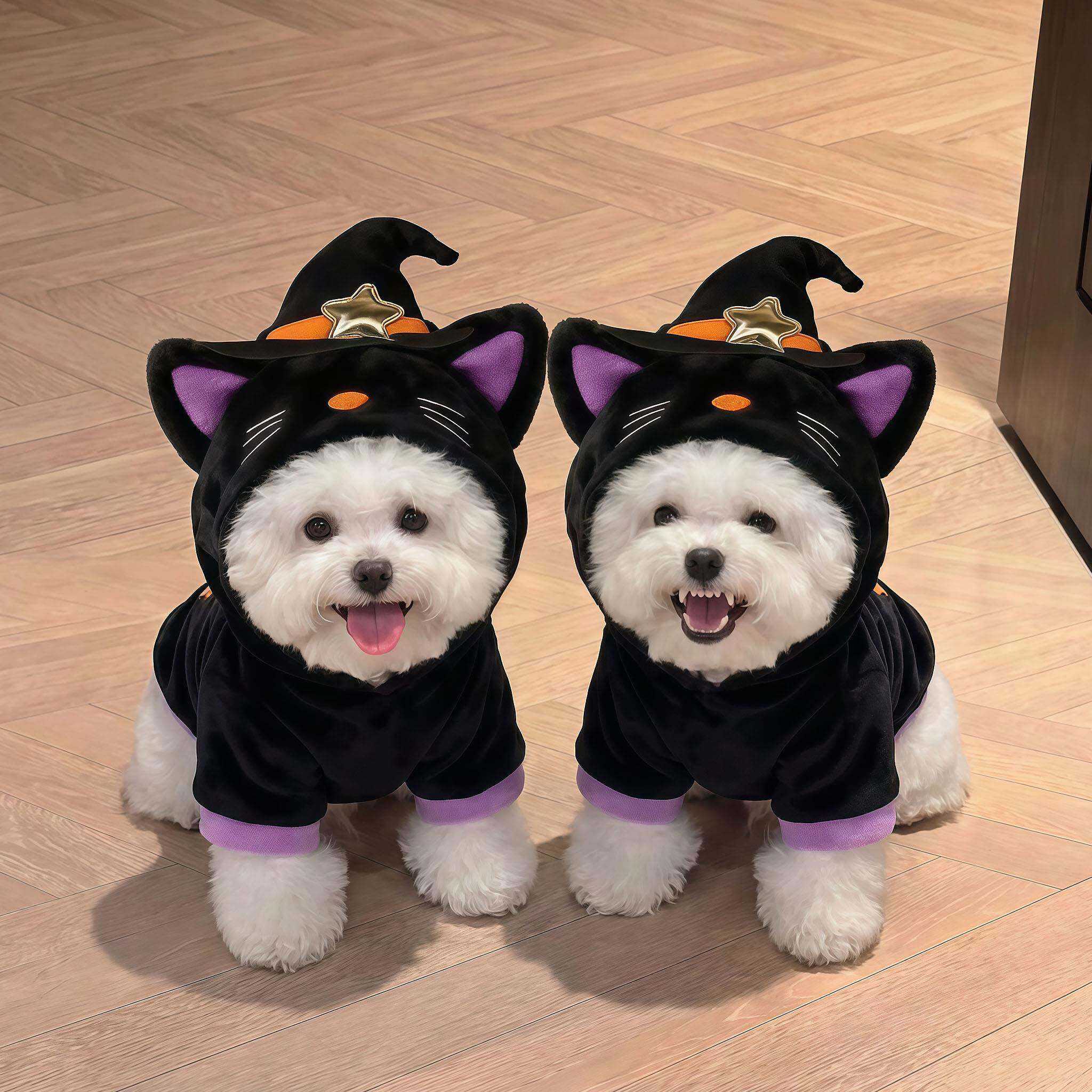 万圣节比熊衣服小型犬狗