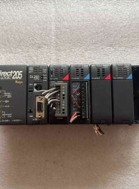 议价光洋KOYO Direct205 PLC模块一套，型号DL2