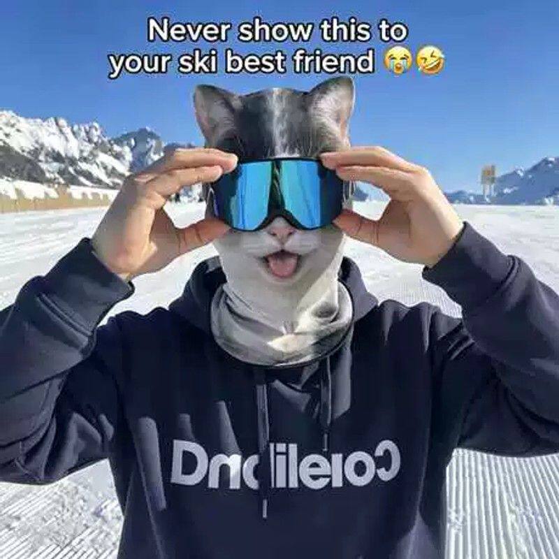 3D印花猫咪面罩 动物狗狗搞怪滑雪头套 户外骑行防风全包护脸帽厂