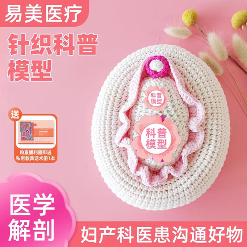 女性针织妹妹妇科模型人体摆件