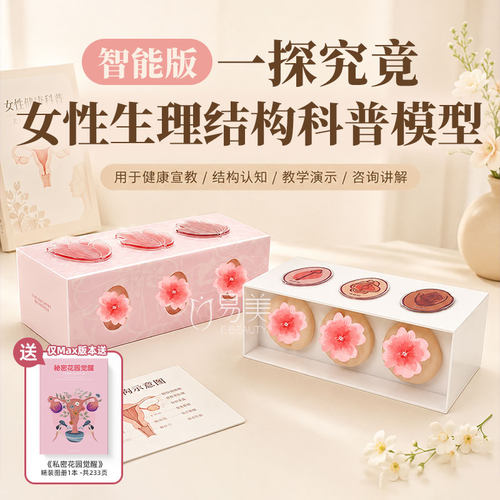 一探究竟女性生理结构科普模型医学健康宣教教具护理培训教学演示