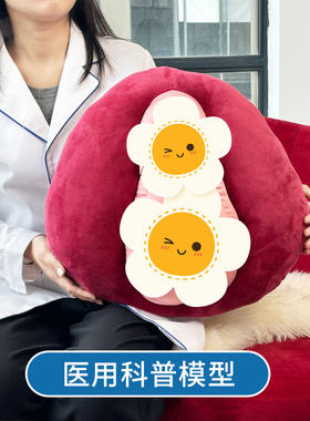 医用科普男性女性抱枕