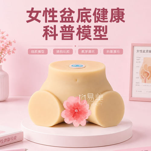 女性盆底健康科普模型硅胶生理结构教学教具护理培训咨询演示模型