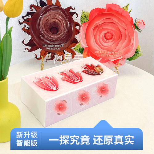 一探究竟灵魂通道指尖蜜境私密触感疗愈营妇科生殖医用私密模型新