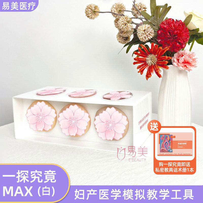 私密小屋一探究竟MAX医学科普医患沟通仿真私密模型教学阴道松紧