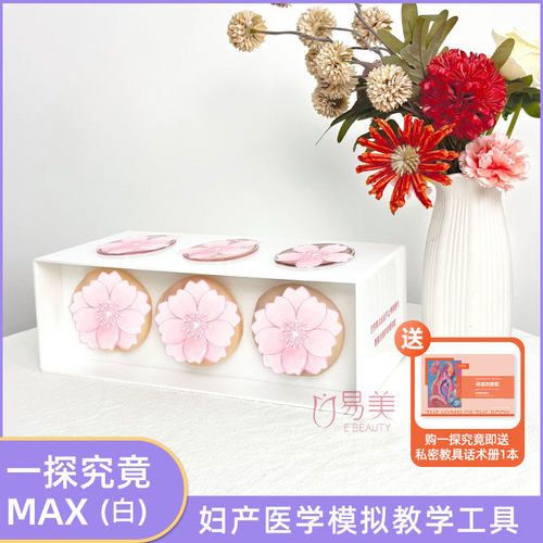 私密小屋一探究竟MAX医学科普医患沟通仿真私密模型教学阴道松紧