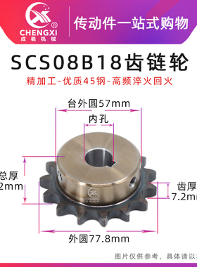 SCS高品质成型孔链轮4分18齿 08B18T齿外径77.8 精车内孔键槽顶丝