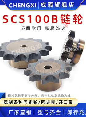SCS高精度单排链轮S100 20A 100B13齿 100B14齿 100B15齿100B16齿