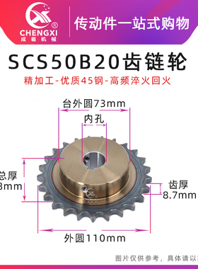 SCS高品质成型孔链轮5分50B20齿 10A20T外径110精车孔键槽顶丝孔