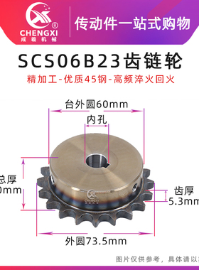 SCS高品质成型孔链轮3分23齿 06B23T外径73.5 精车内孔键槽顶丝