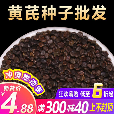 Семена Astragalus Китайские лекарственные материалы Внутренние семена Mongolia Astragalus 500 граммов атококковых саженцев с атококковой аточной