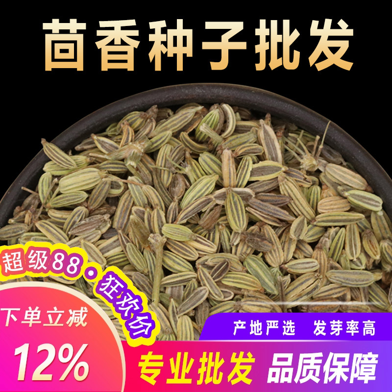 散装小茴香籽割茬茴香菜种子可打粉苗春四季阳台盆栽种植蔬菜种孑