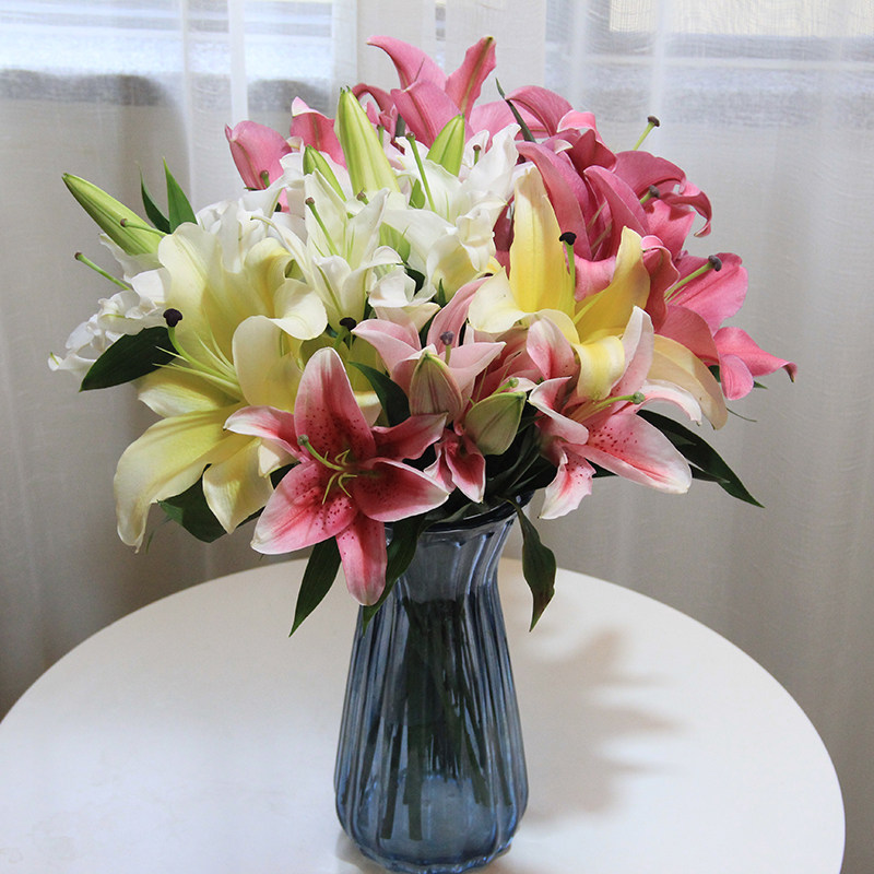 网友分享在meiguo.com的图片