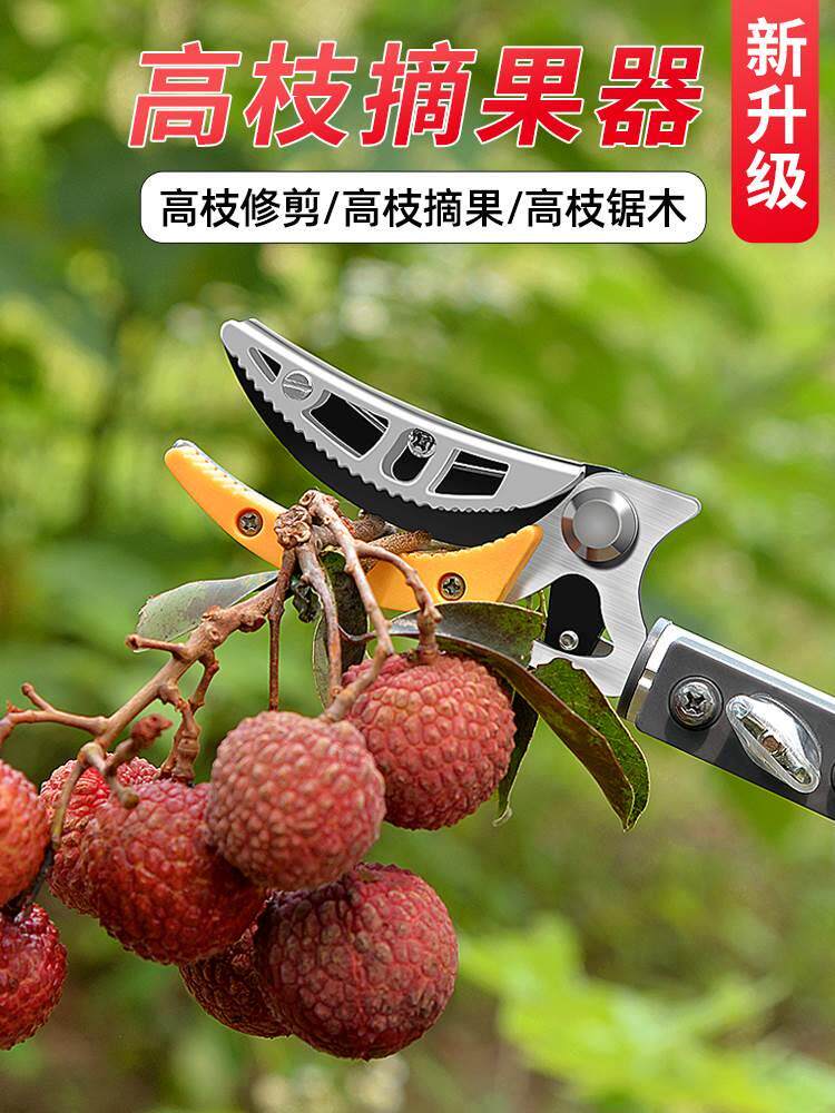 摘水果神器采摘杨梅李子龙眼荔枝高枝剪伸缩高空剪树枝专用长剪刀
