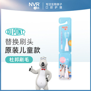 贝贝上扬NVR贝肯熊儿童声波电动牙刷替换刷头（Y002型号）2支装