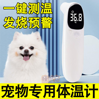 宠物专用体温计猫咪电子温度计狗狗耳闻枪猫用测温计兽用入耳式