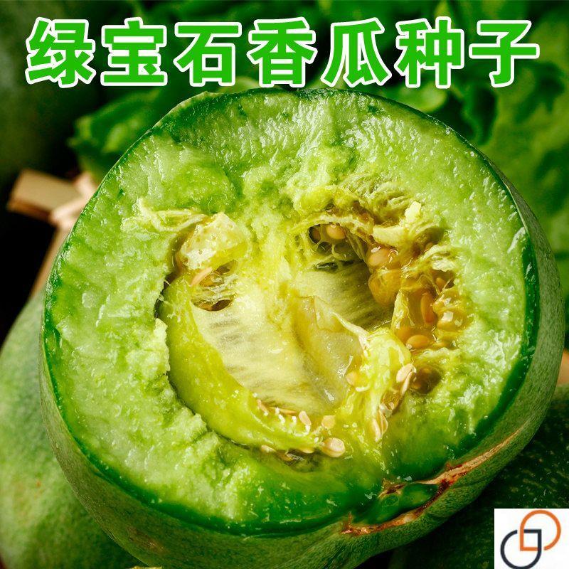 高产甜瓜种子 薄皮绿宝石香瓜种籽 南北方春季超甜早熟脆甜水果种