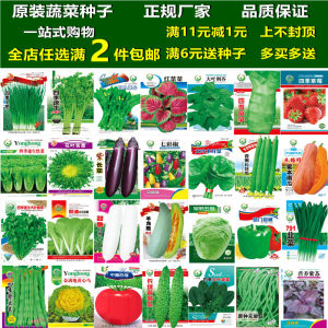 黄瓜种子市场动态探析